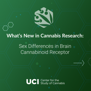 Sex Differences in Brain Cannabinoid Receptor