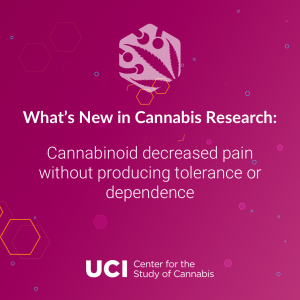 Cannabinoid decreased pain without producing tolerance or dependence
