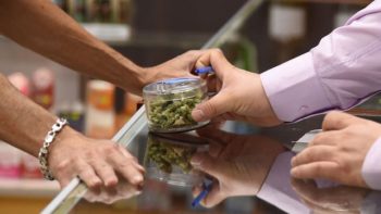 Why Are We Still Policing Cannabis?