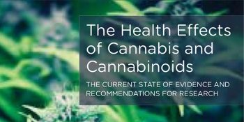 2017 National Academy Report on The Health Effects of Cannabis and Cannabinoids