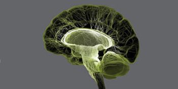 Marijuana and Cannabinoids: A Neuroscience Research Summit